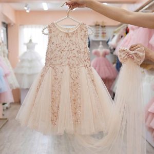 Champagne Sequin Birthday Dresses for Girls – 1 Glamorous Exquisite Pearl Tulle Dress